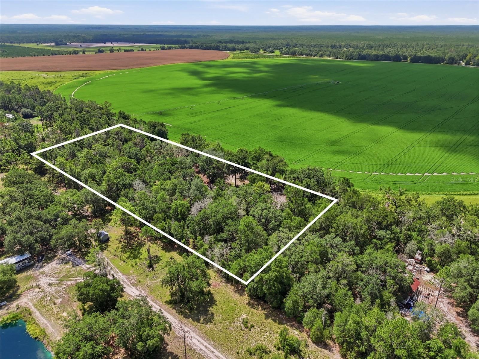 Homes for sale in Bell, FL | 3562 Nw 20th Ave, Bell, FL 32619 | MLS# GC542198