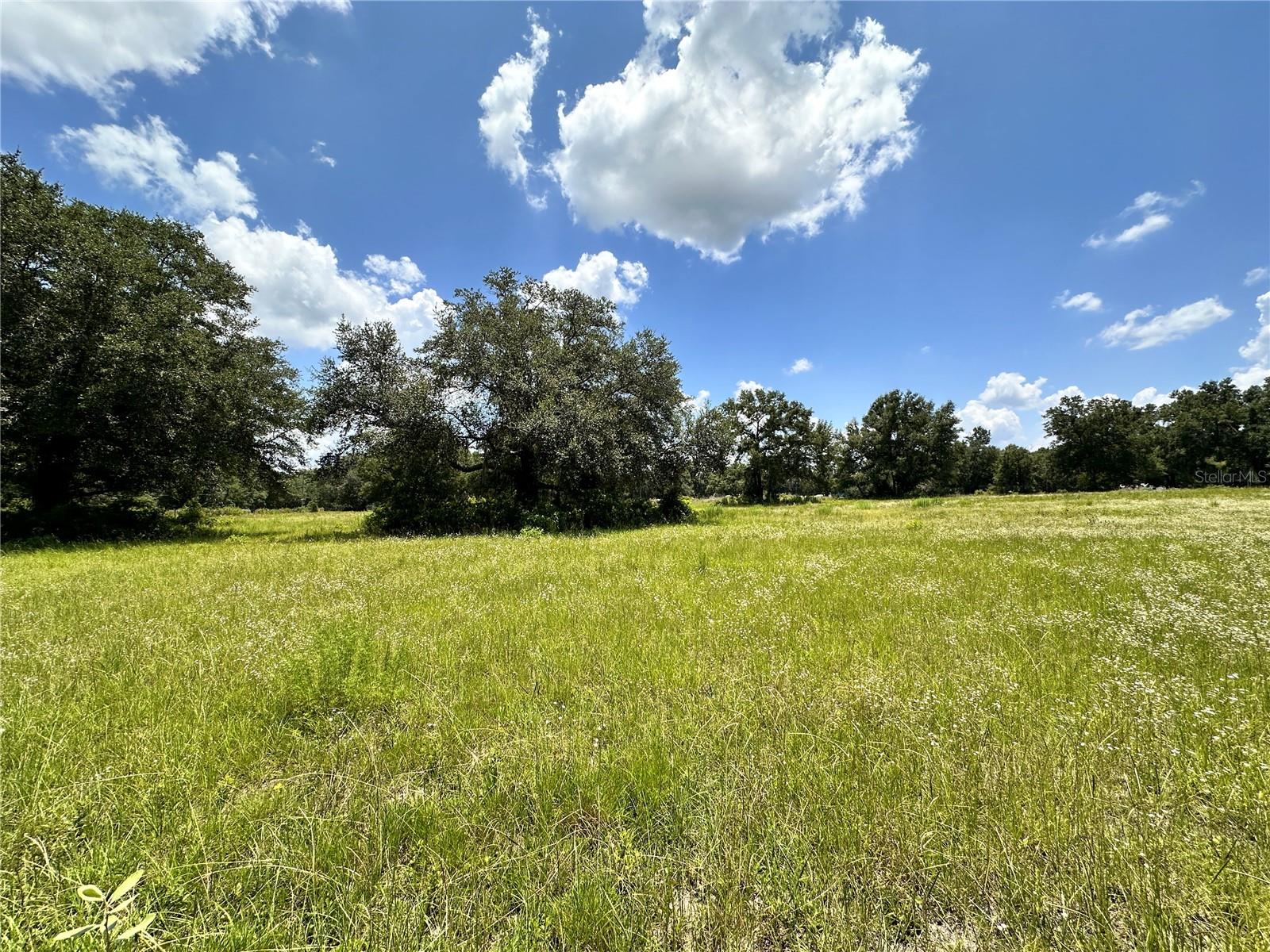 Homes for sale in Fort White, FL | 265 Sw Skyline Loop, Fort White, FL 32038 | MLS# OM729097