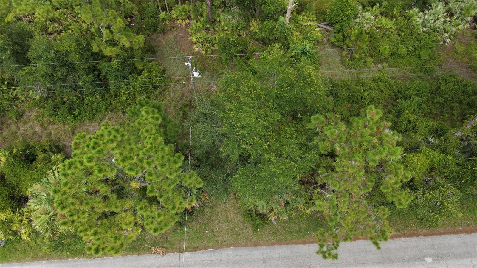 3rd image of 1715 Tatum Blvd, New Smyrna Beach, FL 32168 | MLS# V4950368
