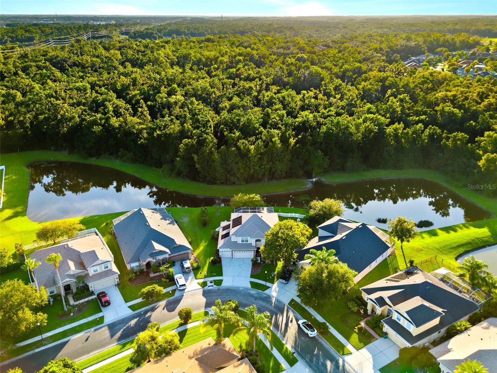 59th image of 27015 Firebush Dr, Wesley Chapel, FL 33544 | MLS# W7887950
