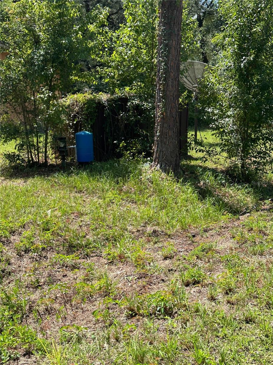 12th image of 1968 Se 161st Ter, Ocklawaha, FL 32179 | MLS# G5115502