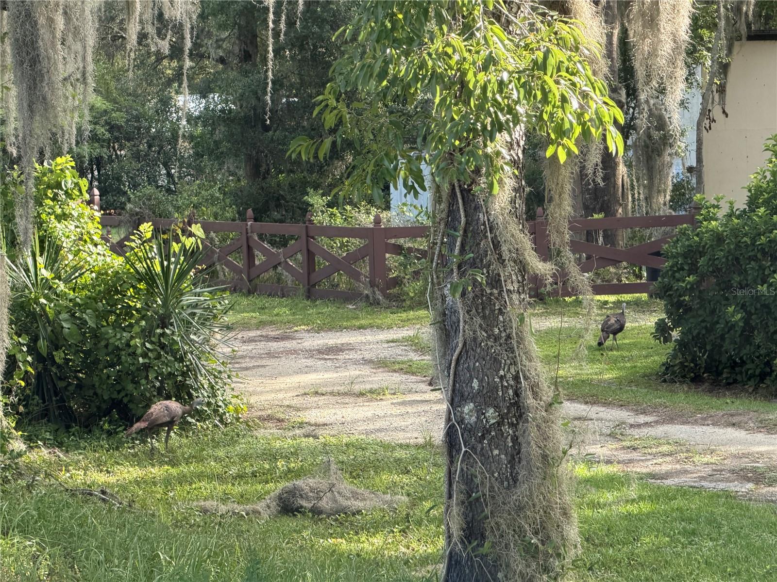 3rd image of Cross Country Blvd, Altoona, FL 32702 | MLS# G5115504