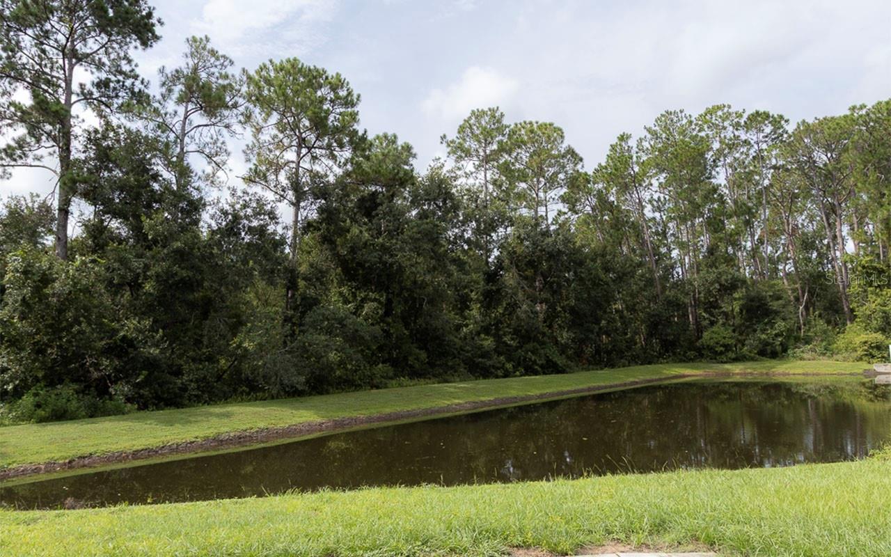 4th image of 6529 Tabogi Trl, Wesley Chapel, FL 33545 | MLS# TB8532561