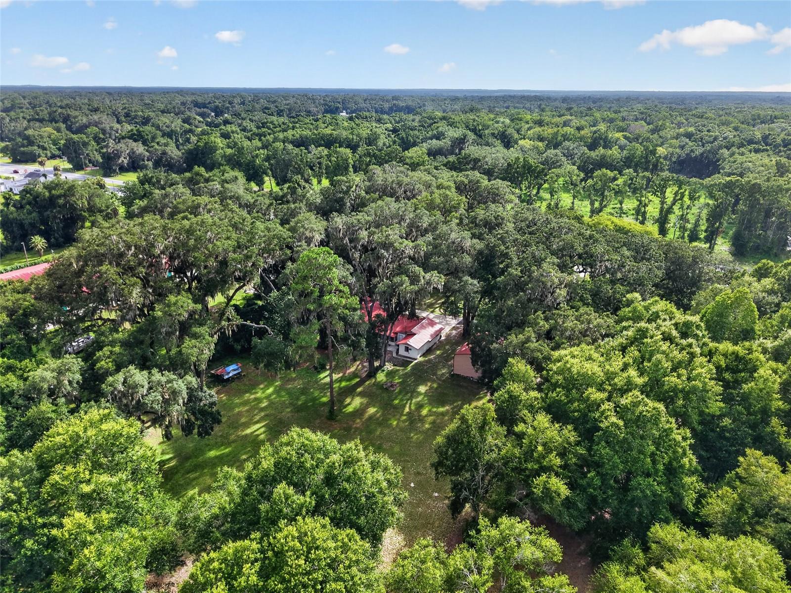 78th image of 18741 N Us Hwy 301, Citra, FL 32113 | MLS# OM729177