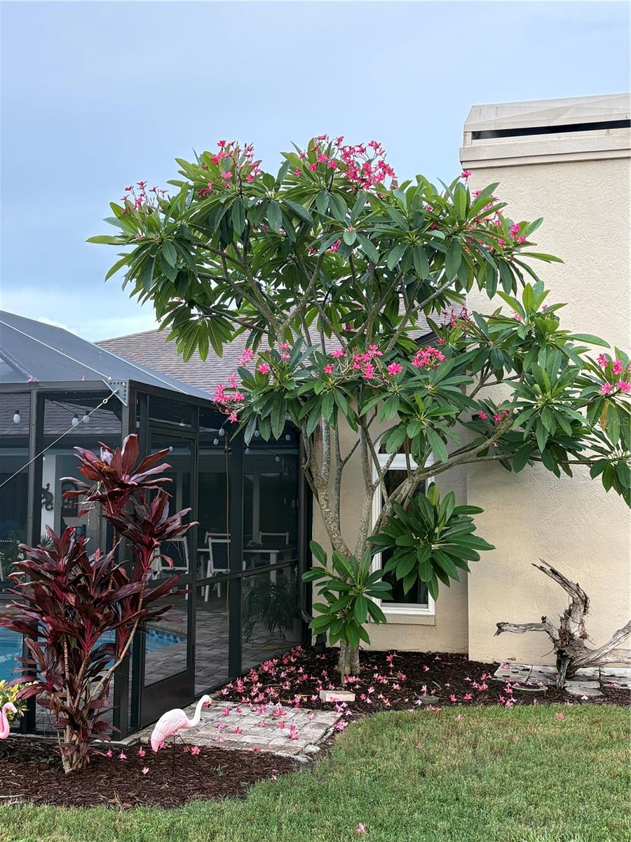 3rd image of 5092 Kilty Ct E, Bradenton, FL 34203 | MLS# TB8532702