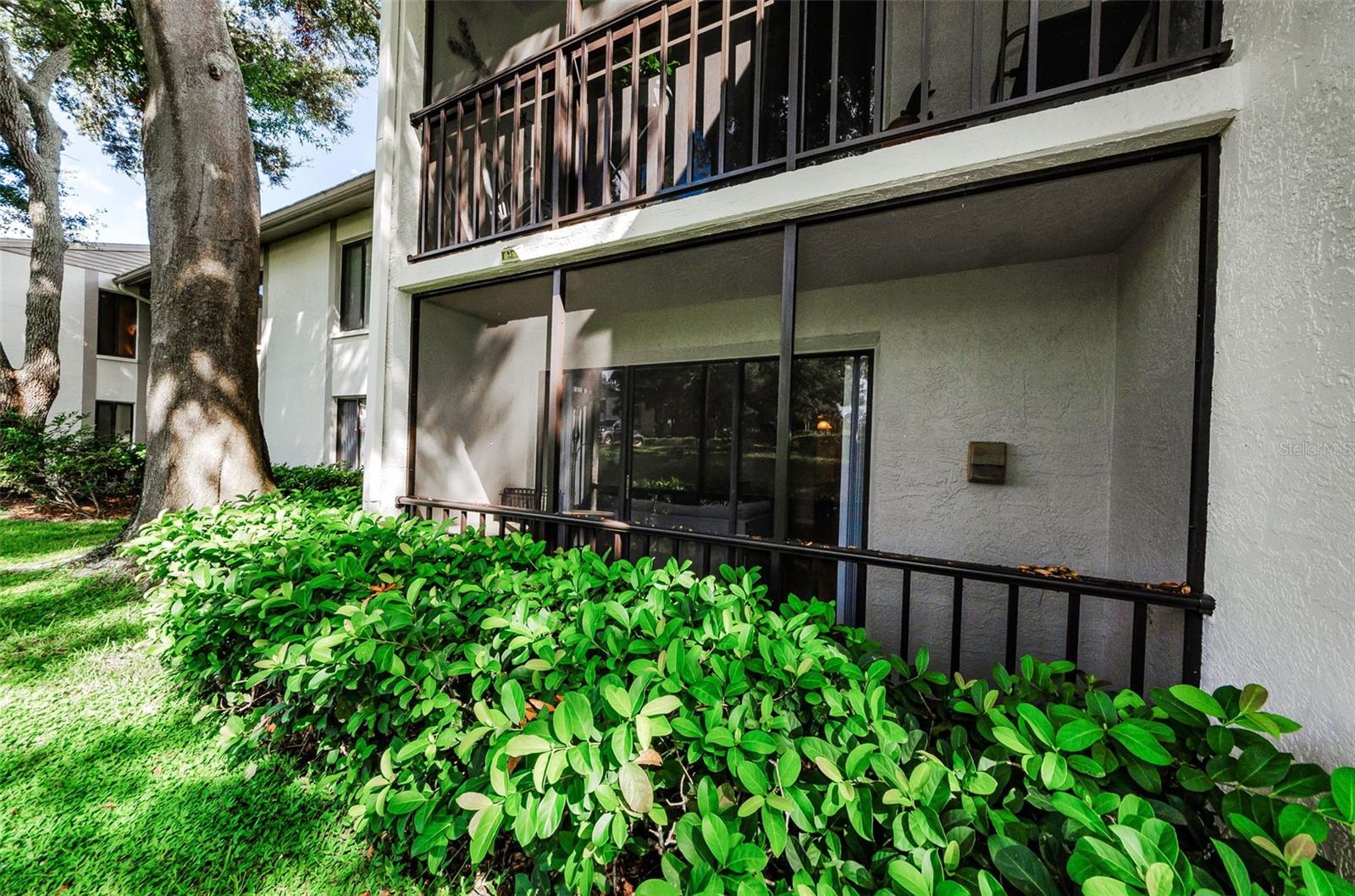 1st image of 2575 Pine Ridge Wy S #E1, Palm Harbor, FL 34684 | MLS# TB8532803