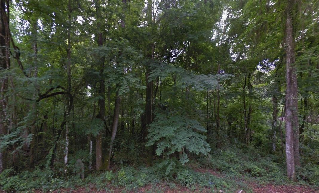 1st image of Se 42nd Court, Belleview, FL 34420 | MLS# TB8532857