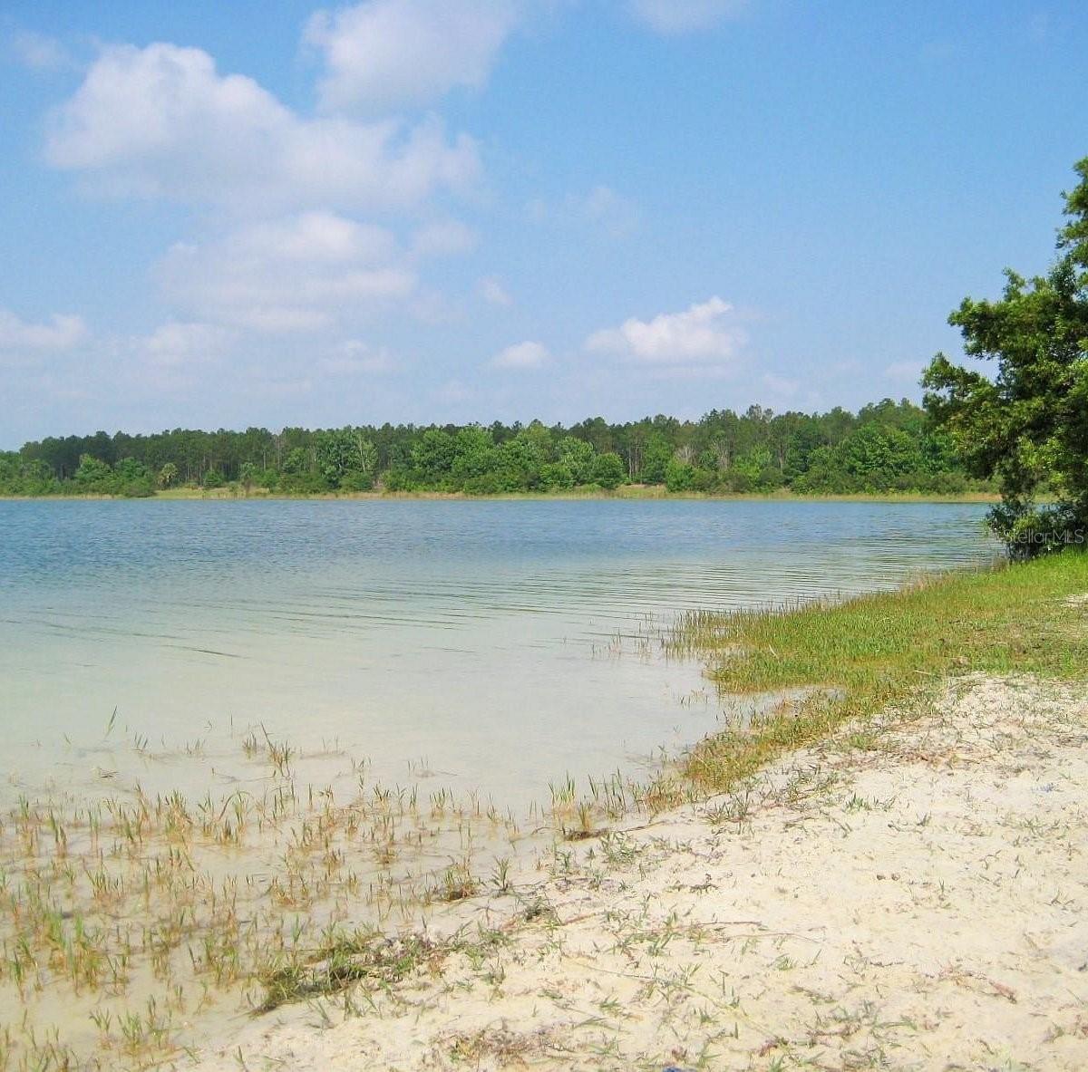 33rd image of 11025 Se 132nd Pl, Ocklawaha, FL 32179 | MLS# G5115563