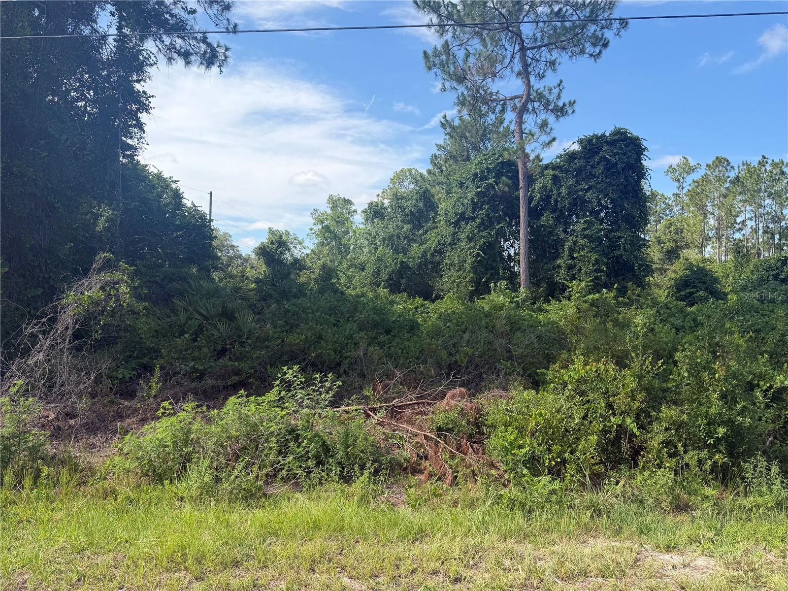 1st image of Tbd Malauka Ter, Ocklawaha, FL 32179 | MLS# OM729221