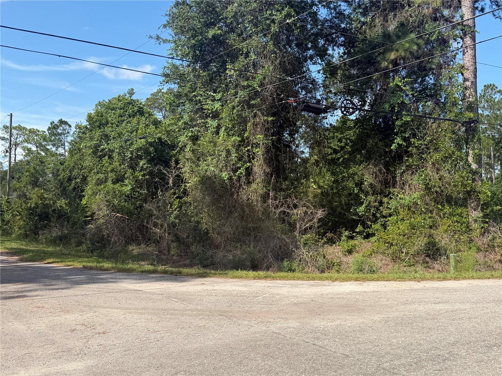 4th image of Tbd Malauka Ter, Ocklawaha, FL 32179 | MLS# OM729221