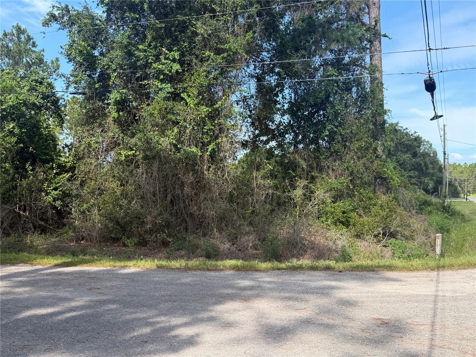 2nd image of Tbd Malauka Ter, Ocklawaha, FL 32179 | MLS# OM729221