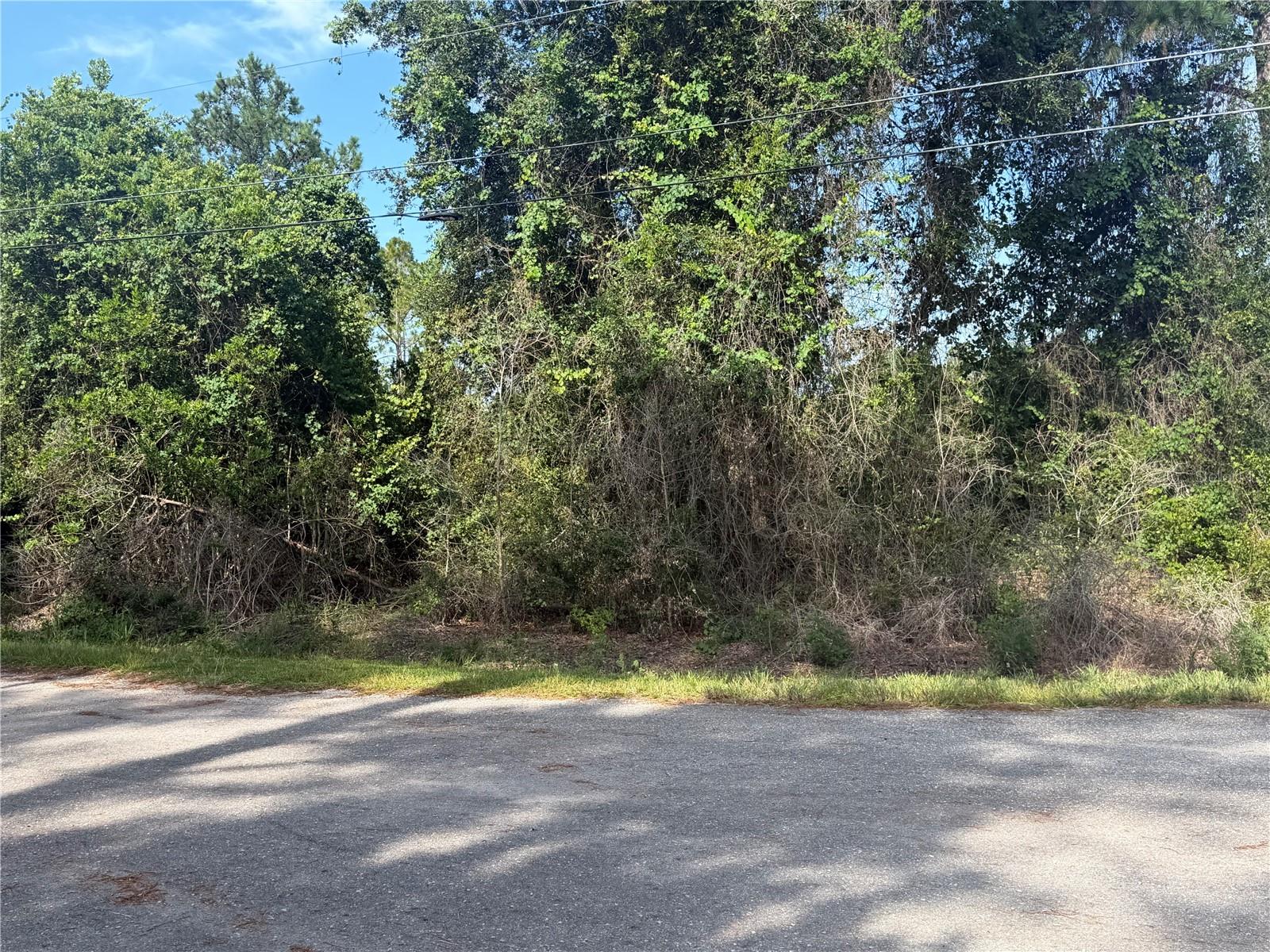 3rd image of Tbd Malauka Ter, Ocklawaha, FL 32179 | MLS# OM729221