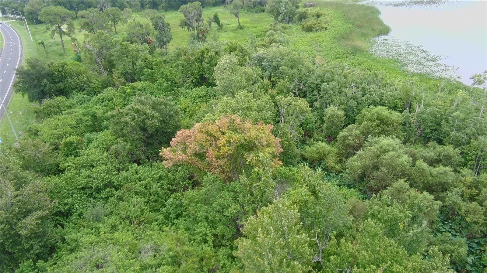 15th image of 0 Alfred Dr E, Lake Alfred, FL 33850 | MLS# O6428311