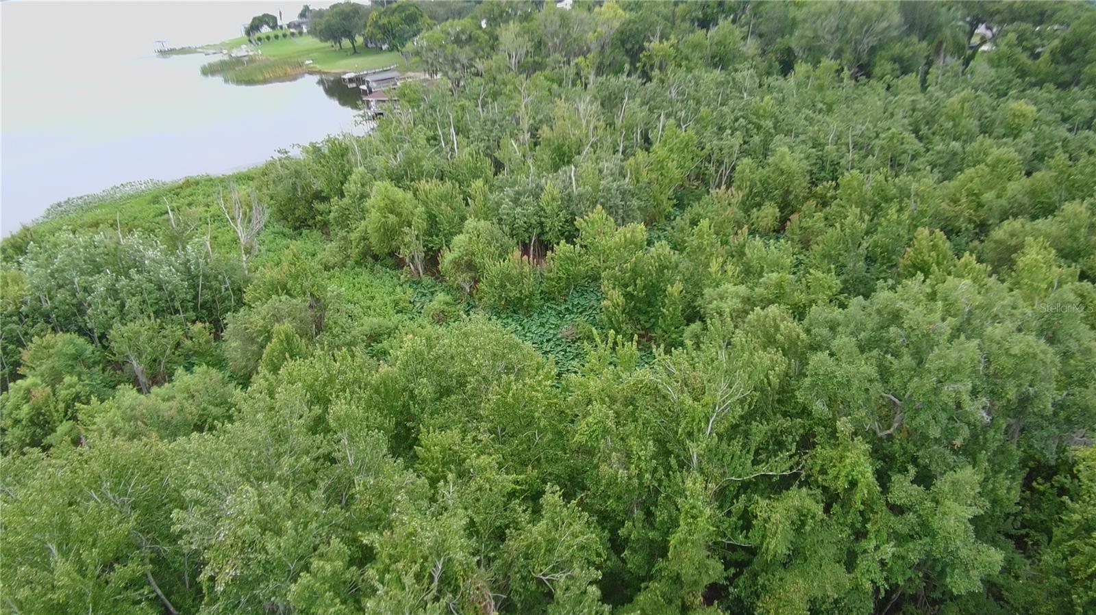 4th image of 0 Alfred Dr E, Lake Alfred, FL 33850 | MLS# O6428311