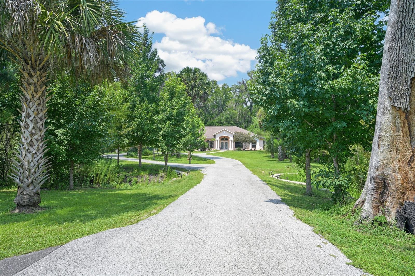 3rd image of 19040 Nw 88Th Avenue Rd, Reddick, FL 32686 | MLS# G5115590