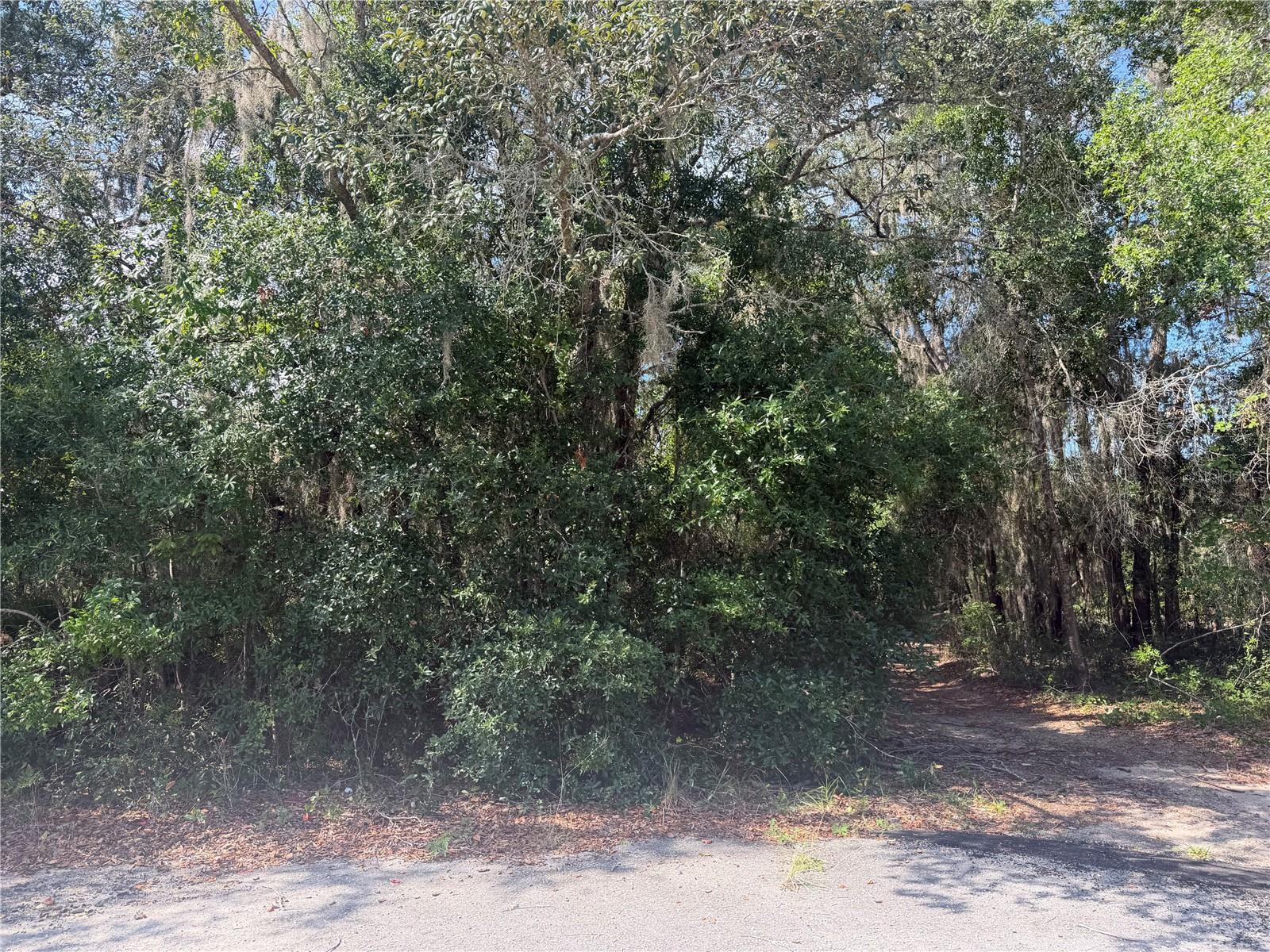 7th image of Tbd Malauka Pass Trl, Ocklawaha, FL 32179 | MLS# OM729258
