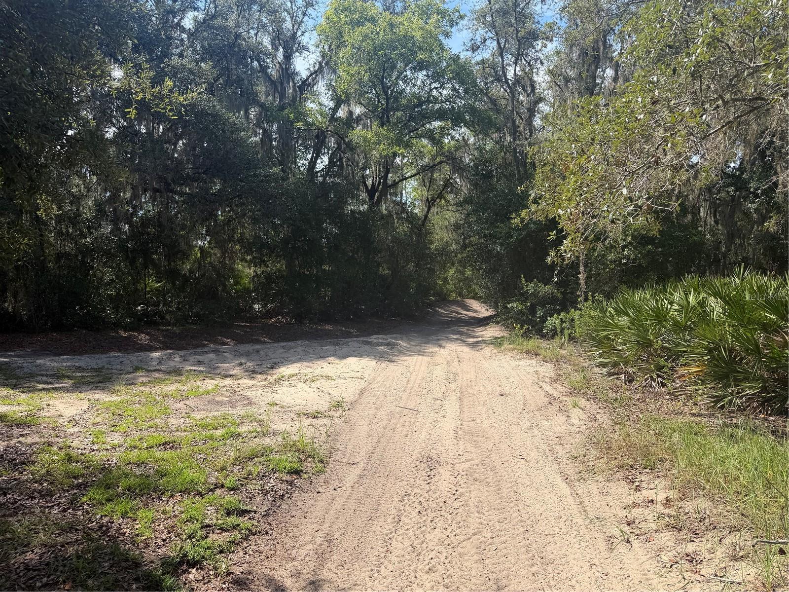 5th image of Tbd Malauka Pass Trl, Ocklawaha, FL 32179 | MLS# OM729258