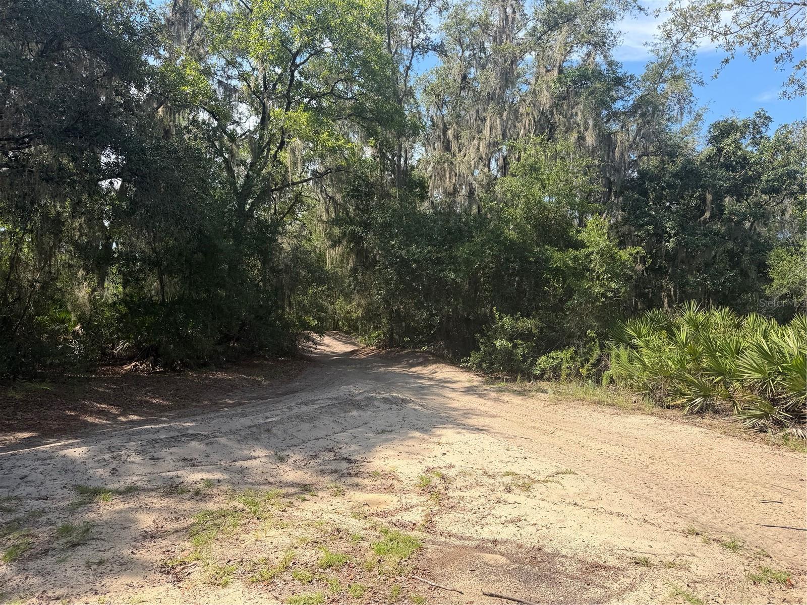 4th image of Tbd Malauka Pass Trl, Ocklawaha, FL 32179 | MLS# OM729258