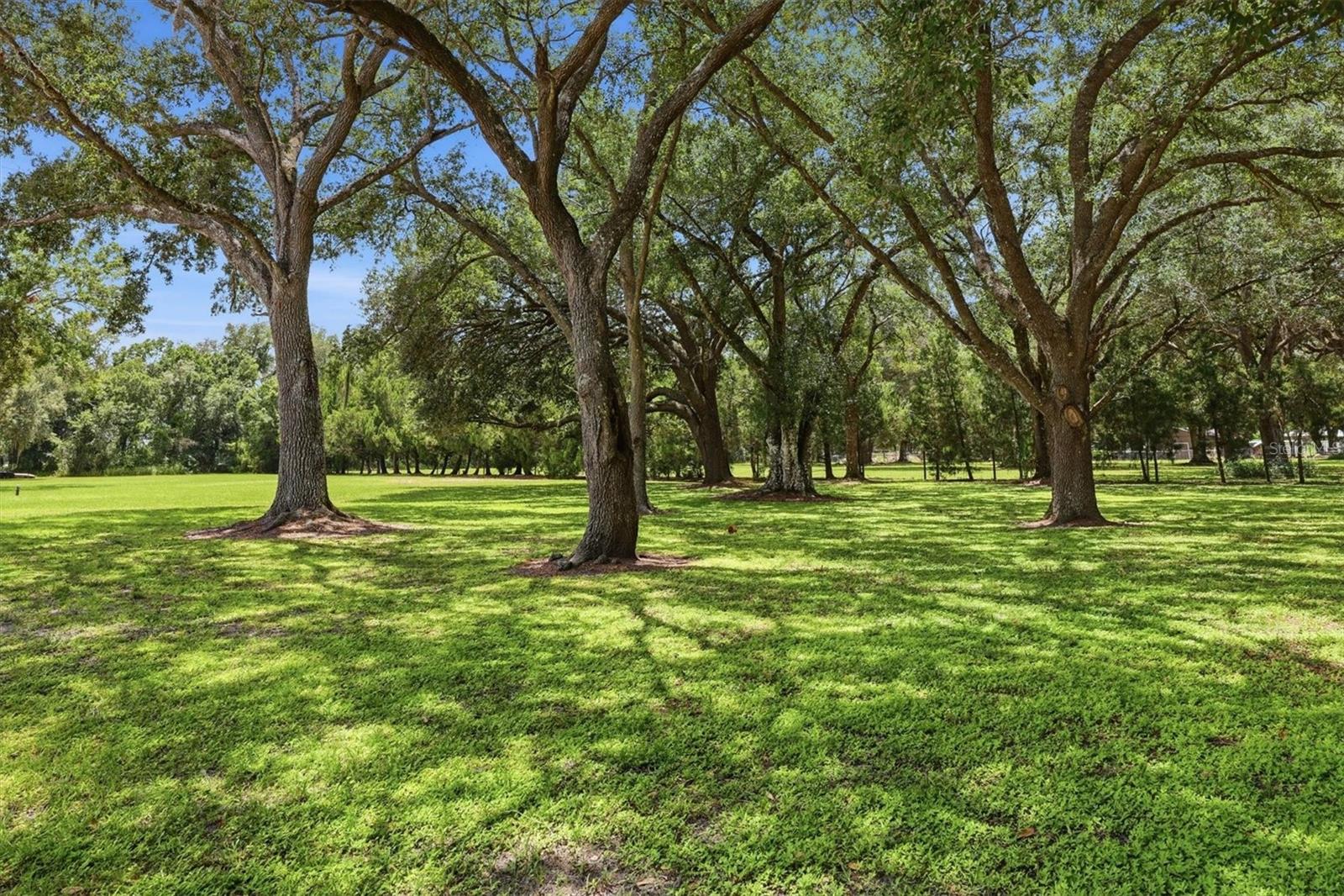5th image of 4917 Se Brown Rd, Arcadia, FL 34266 | MLS# N6145175