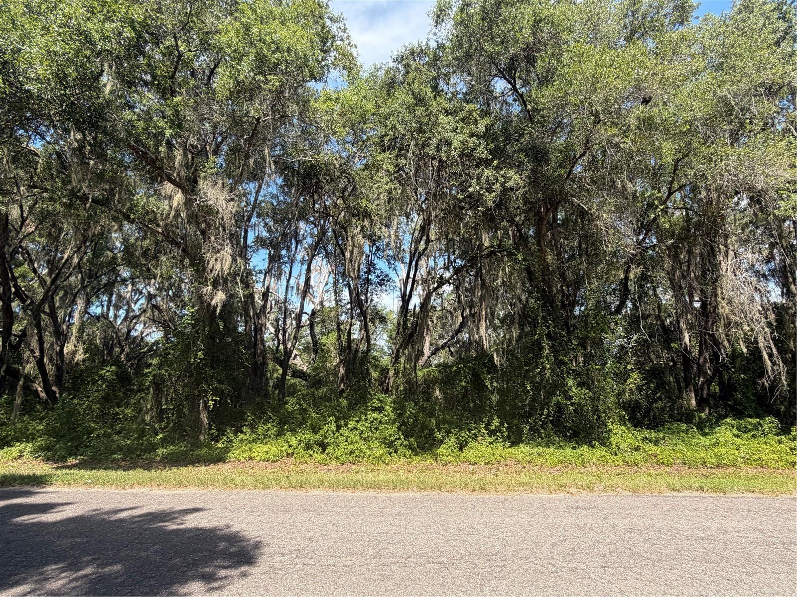 1st image of Tbd Guava Ter, Ocklawaha, FL 32179 | MLS# OM729276