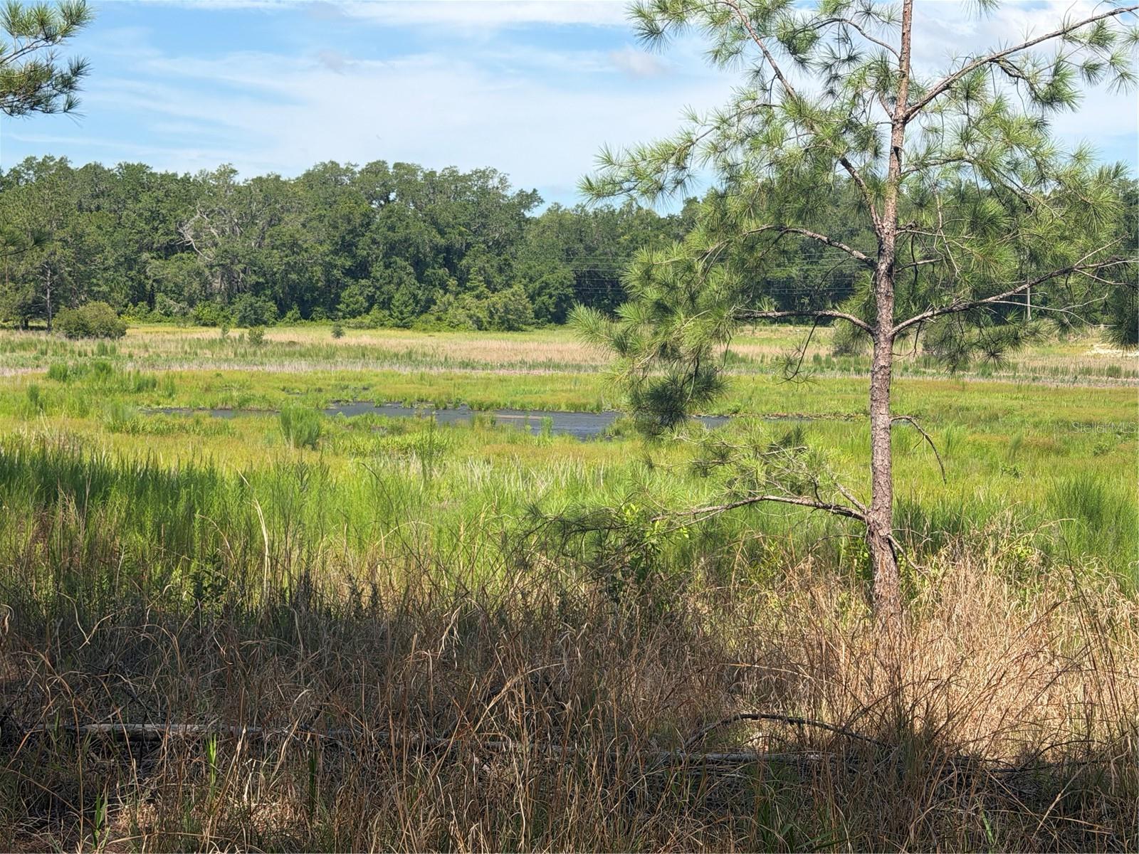 2nd image of Tbd Guava Ter, Ocklawaha, FL 32179 | MLS# OM729276