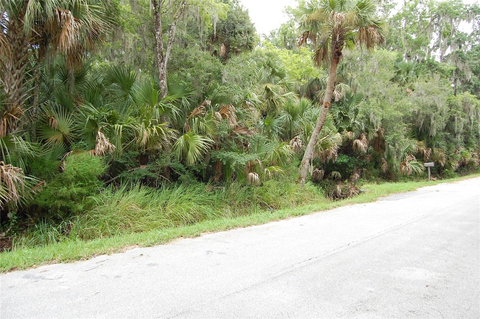 1st image of Palm Dr, New Smyrna Beach, FL 32168 | MLS# NS1088850