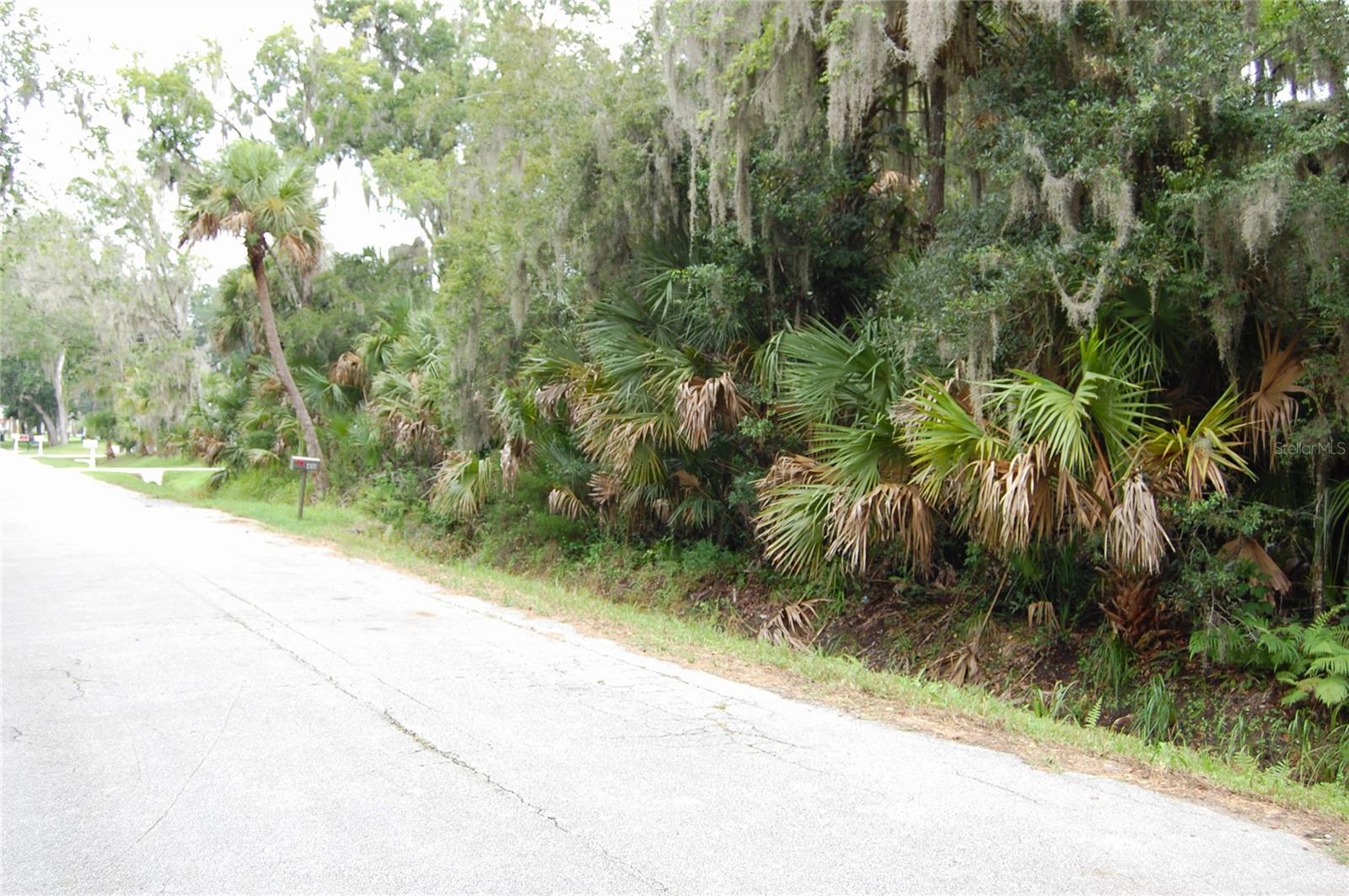 2nd image of Palm Dr, New Smyrna Beach, FL 32168 | MLS# NS1088850