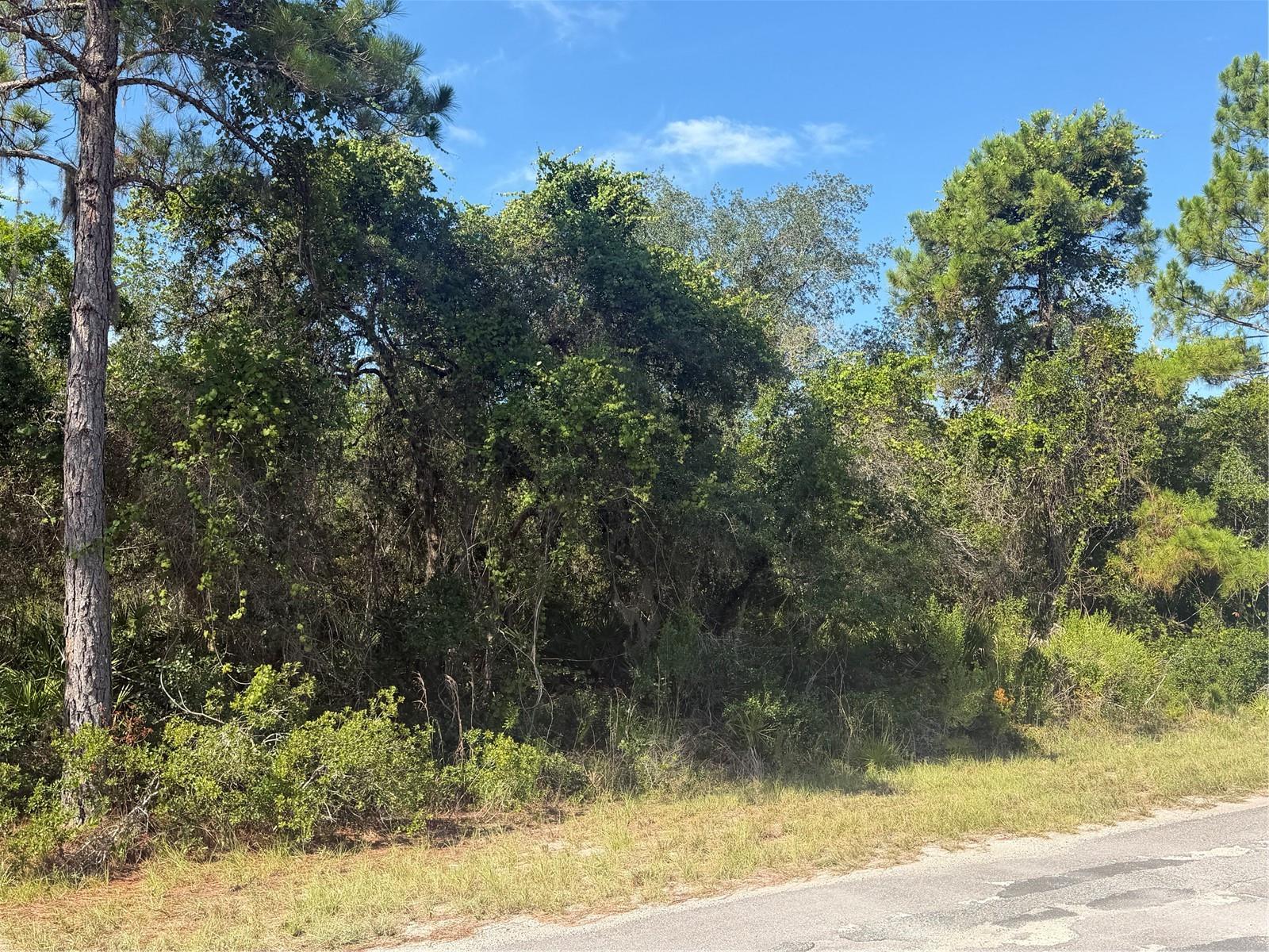 5th image of Tbd Malauka Radl, Ocklawaha, FL 32179 | MLS# OM729318