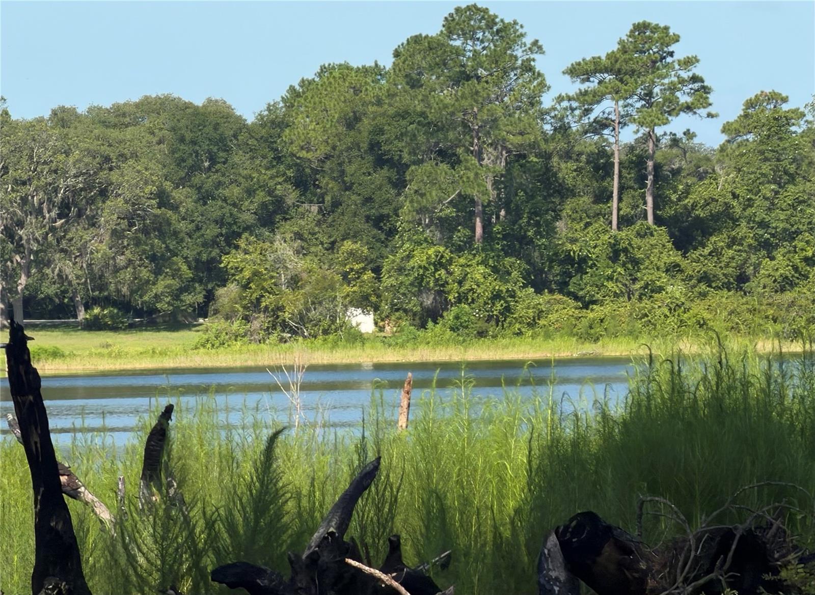 1st image of Tbd Malauka Radl, Ocklawaha, FL 32179 | MLS# OM729318
