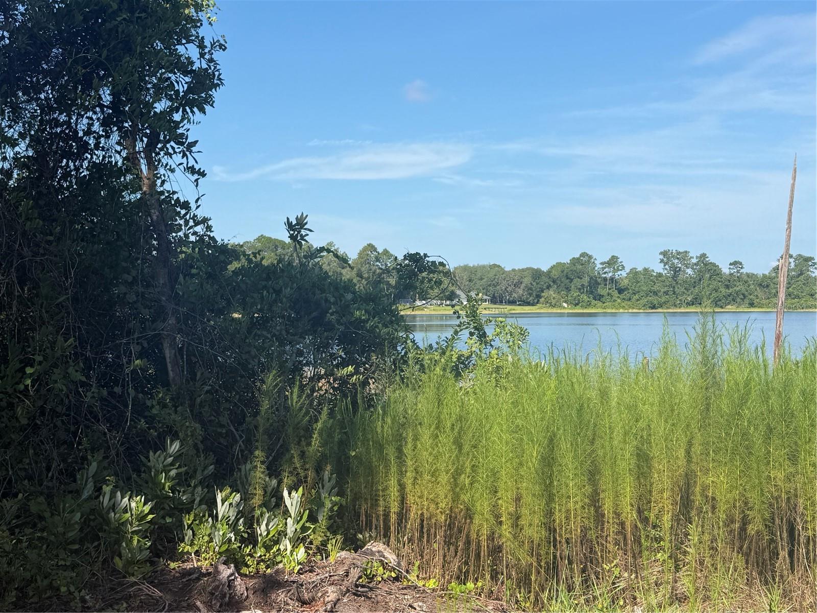 2nd image of Tbd Malauka Radl, Ocklawaha, FL 32179 | MLS# OM729318