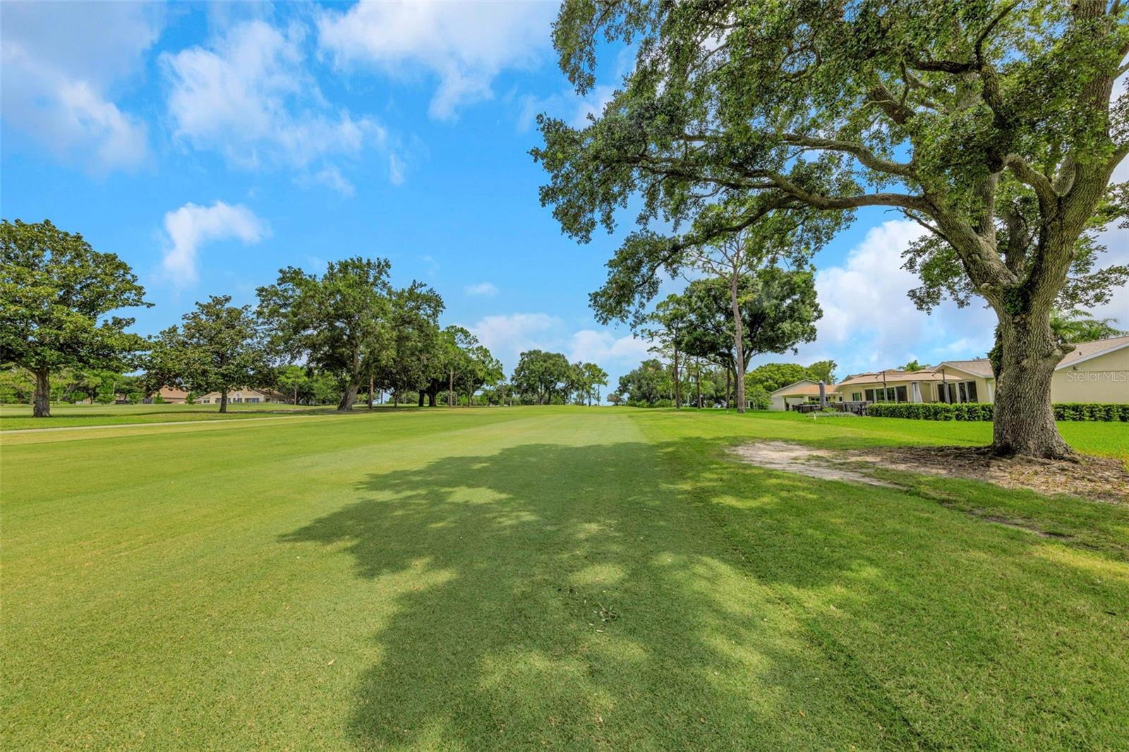 4th image of 1308 Gillespie Dr, Palm Harbor, FL 34684 | MLS# TB8533480