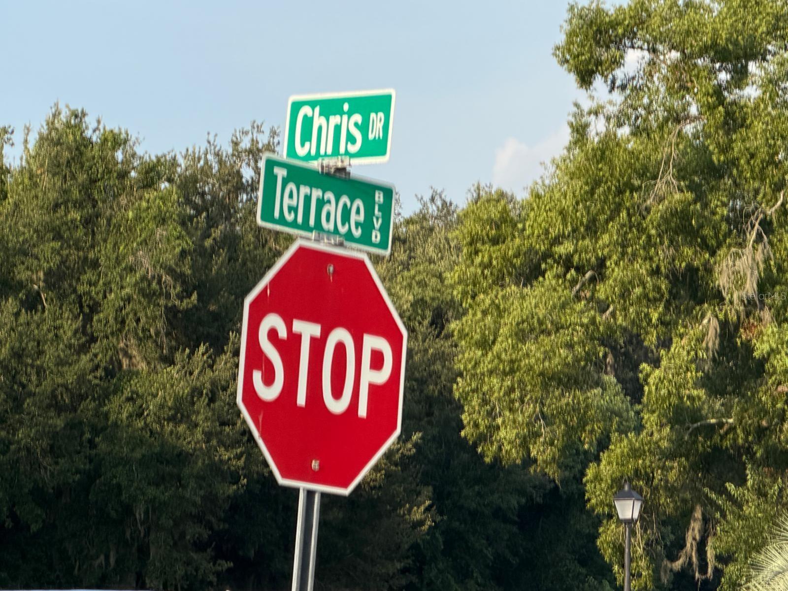 51st image of 3937 Chris Dr, Wesley Chapel, FL 33543 | MLS# TB8533517