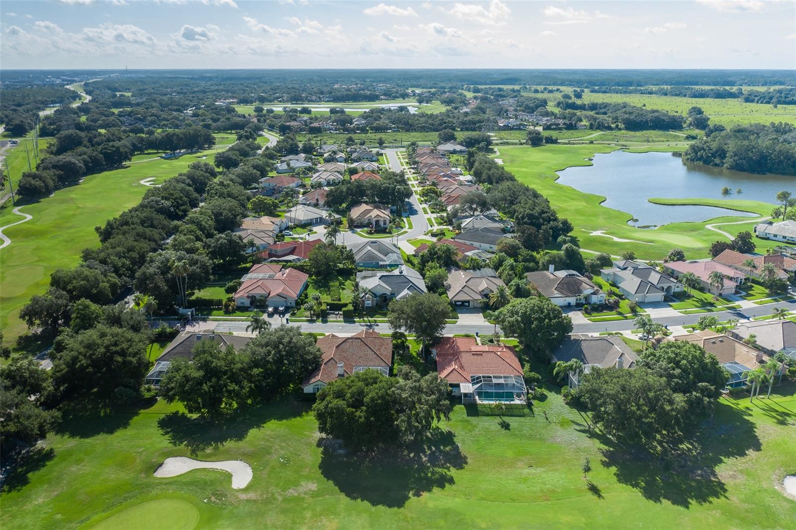 5th image of 1239 Stadler Dr, Trinity, FL 34655 | MLS# W7888067