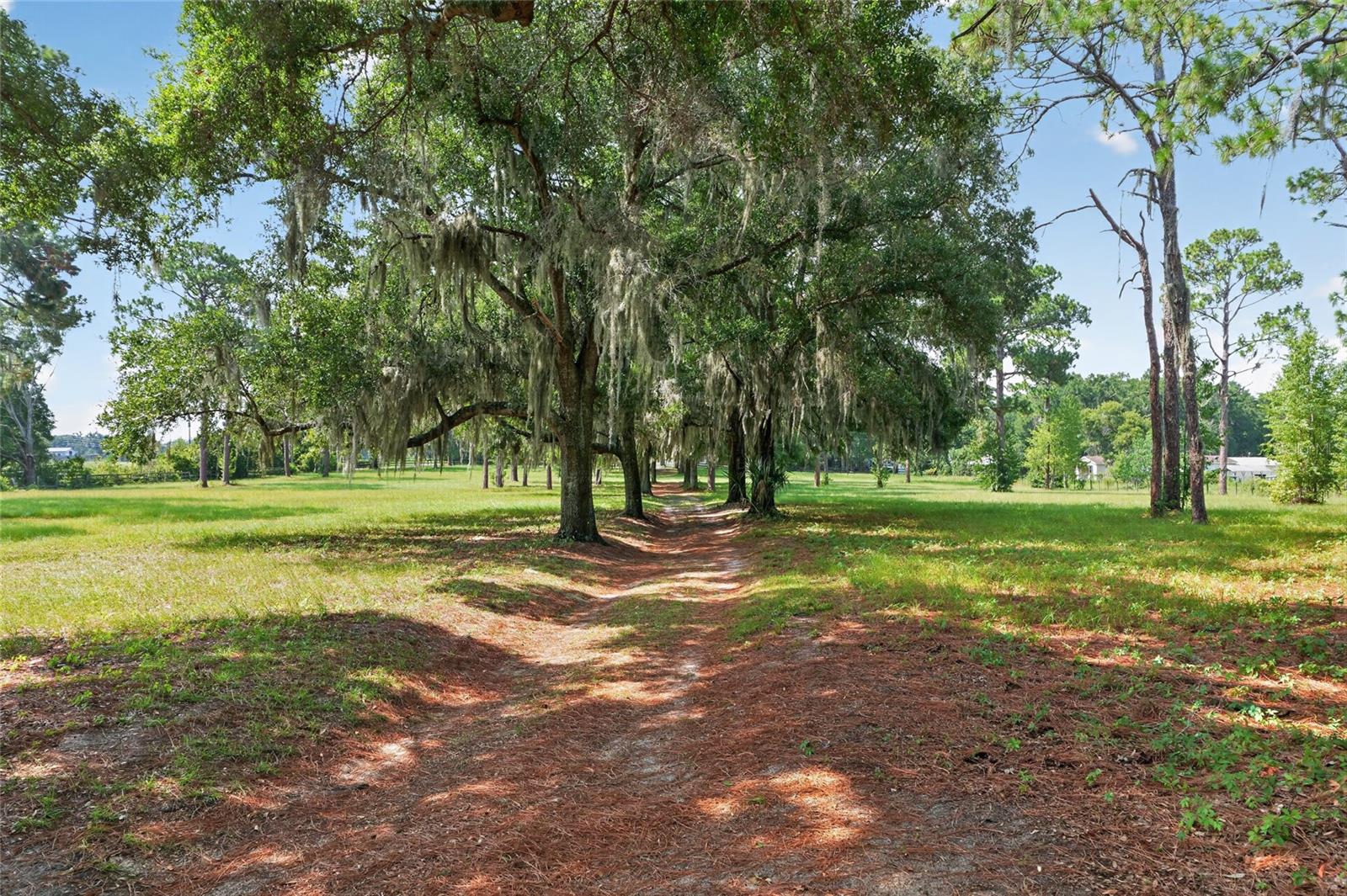 40th image of 7555 Sw 77th Pl, Ocala, FL 34476 | MLS# OM729431