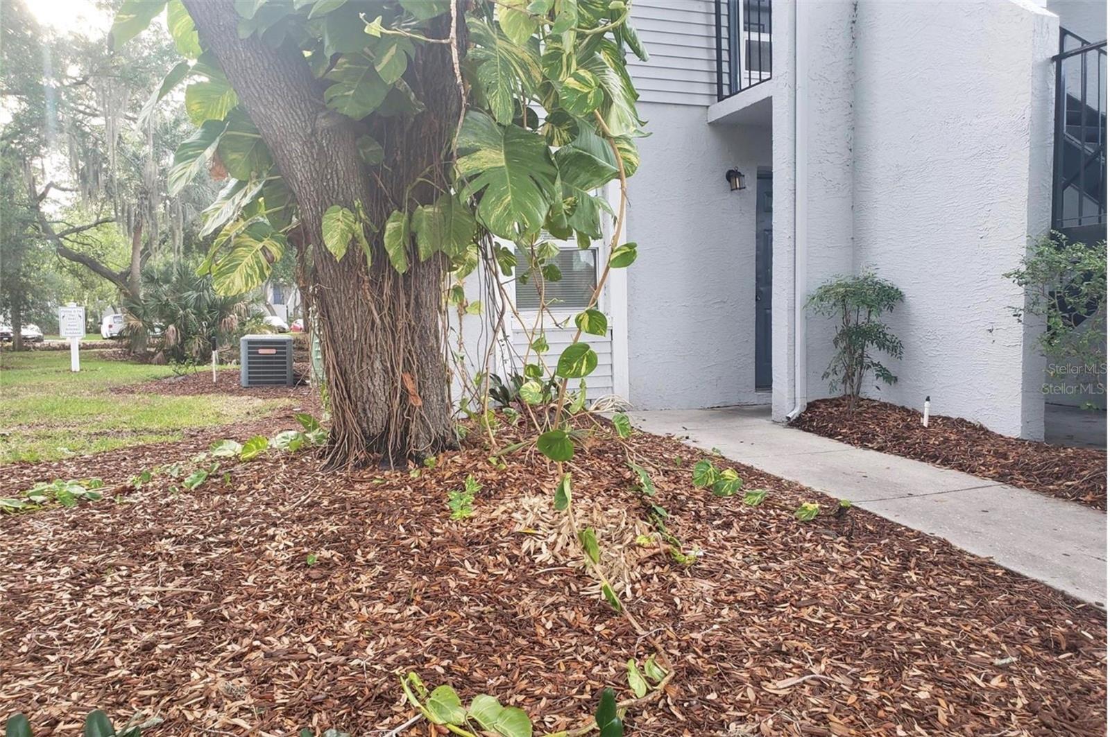 1st image of 7100 Waterside Dr, Tampa, FL 33617 | MLS# TB8533980