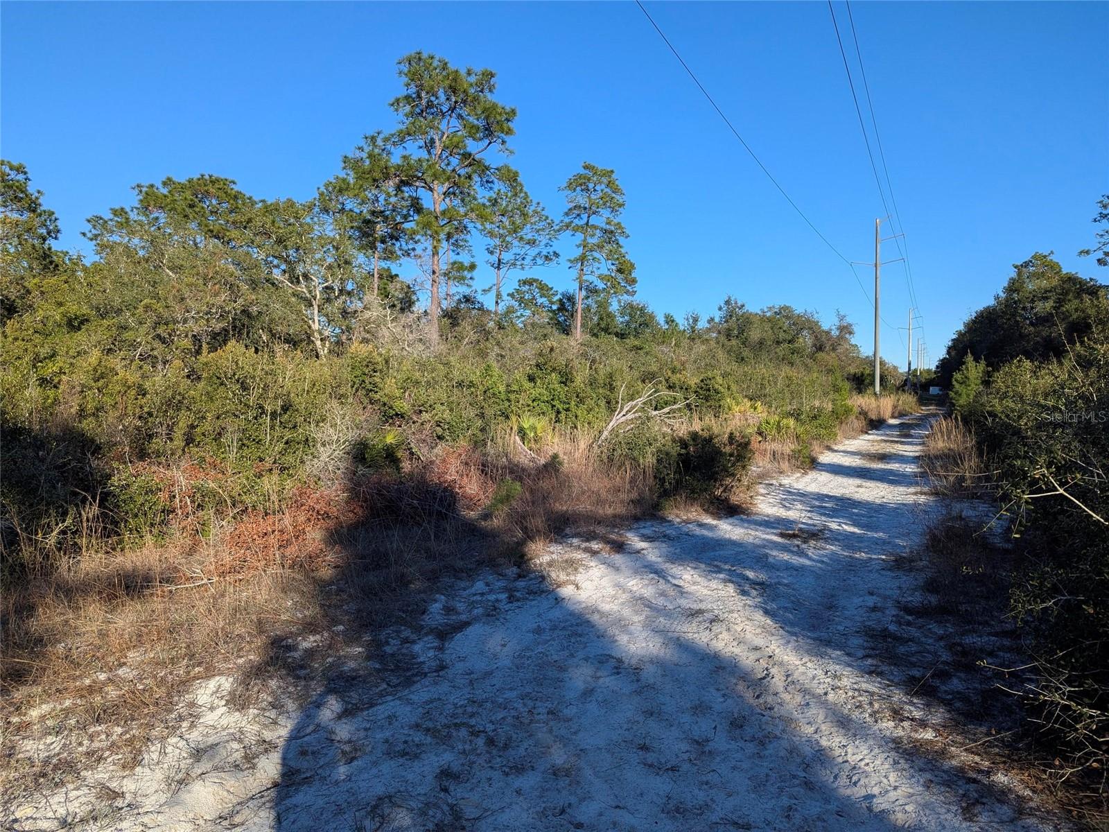 5th image of Nelson Ave, Orange City, FL 32763 | MLS# V4950474