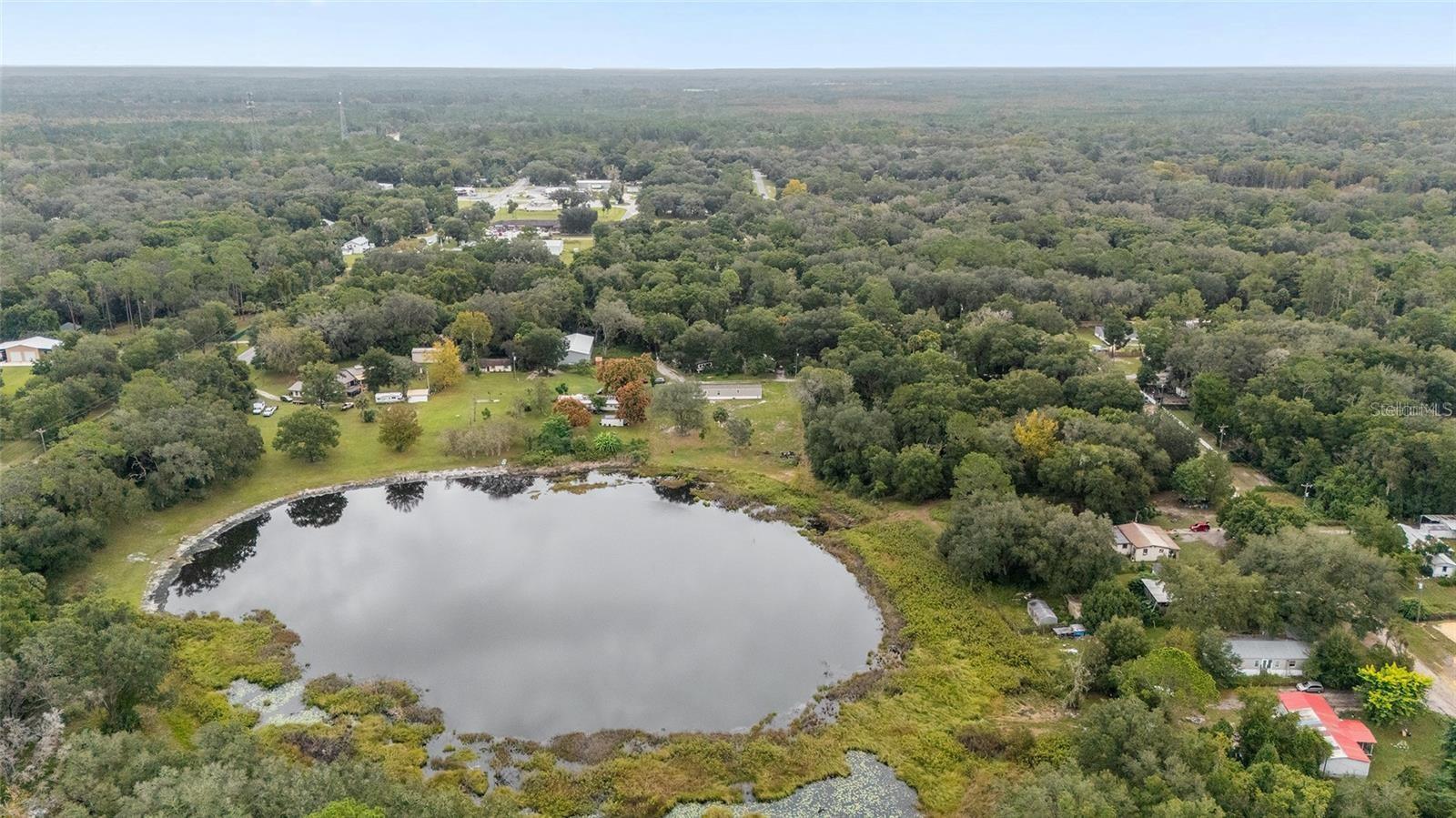 56th image of 14642 Ne 111th Ter, Fort Mc Coy, FL 32134 | MLS# OM729453