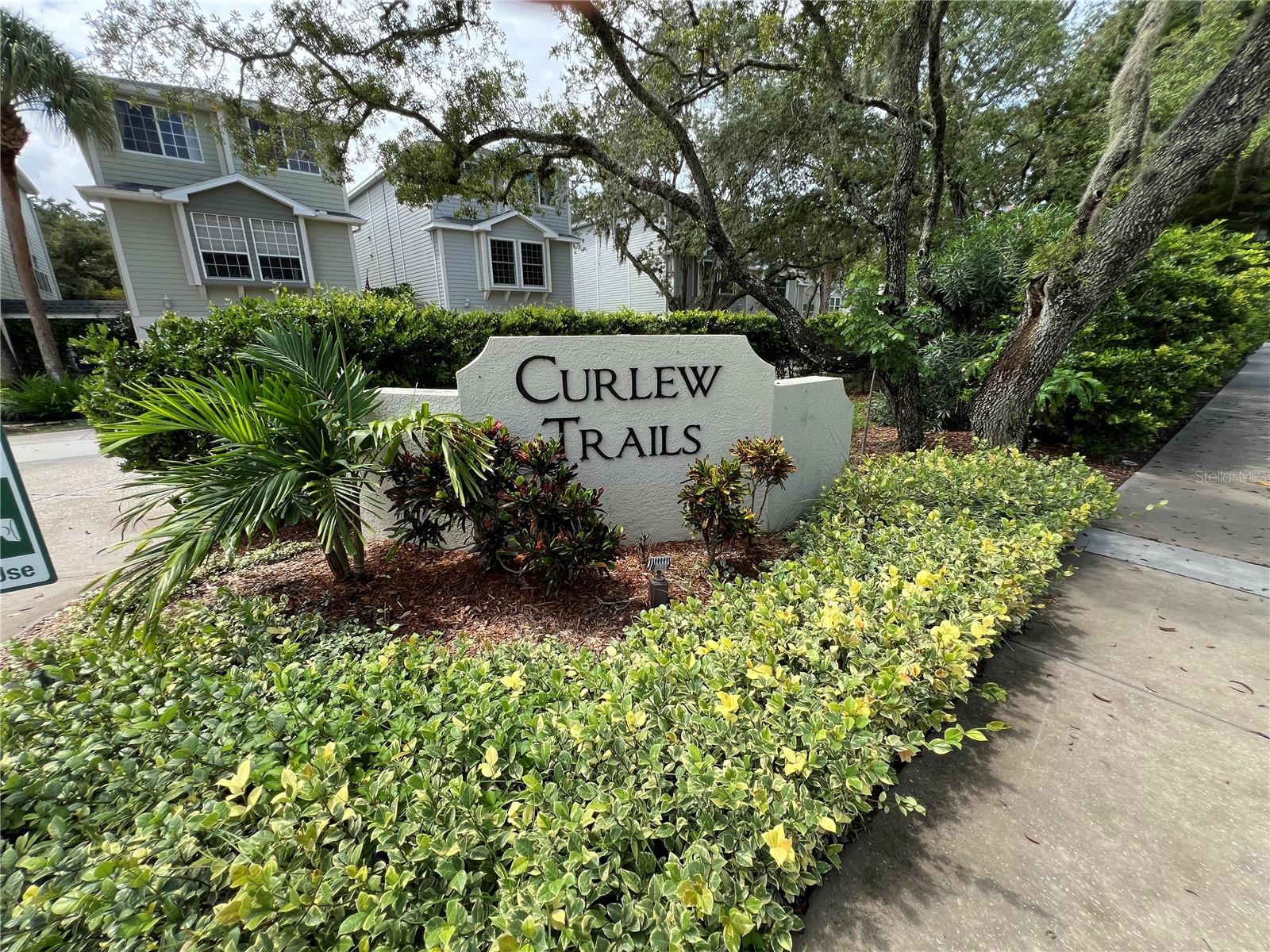 2nd image of 1383 Curlew Rd, Dunedin, FL 34698 | MLS# TB8534308