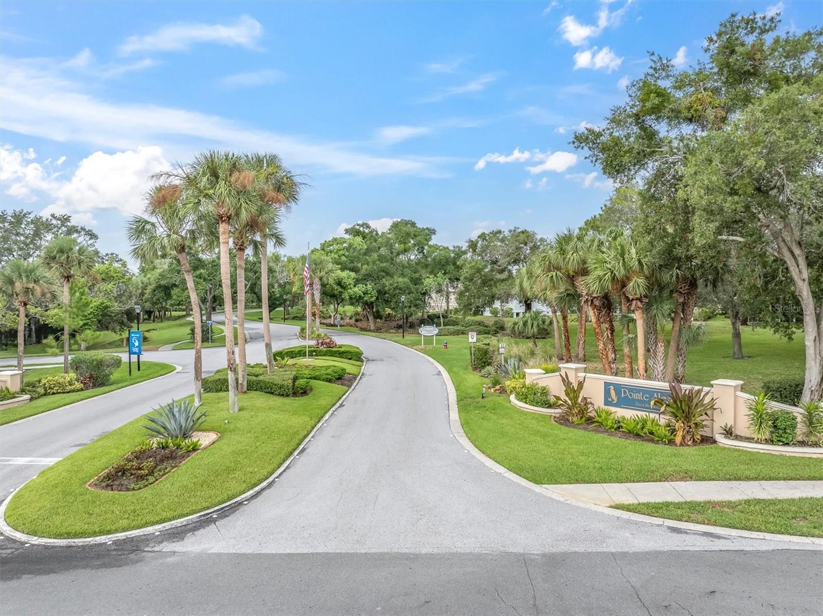 3rd image of 1083 S Pointe Alexis Dr, Tarpon Springs, FL 34689 | MLS# TB8534341