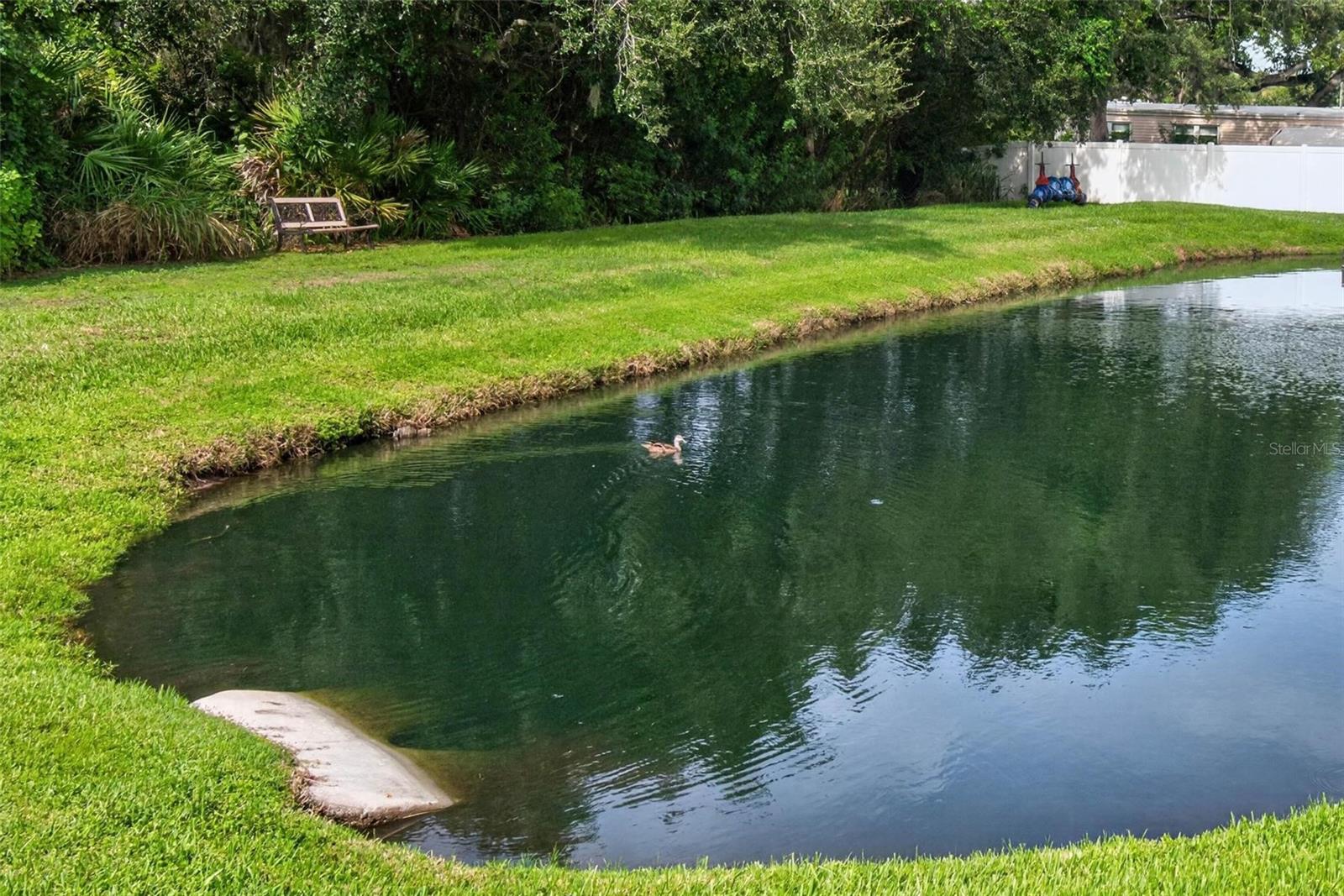 39th image of 2245 Misty Ct, Dunedin, FL 34698 | MLS# TB8534366