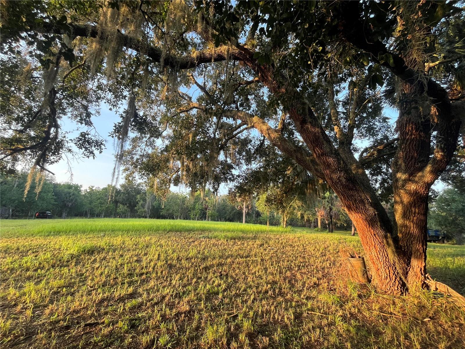 5th image of 32801 441 Hwy N #287, Okeechobee, FL 34972 | MLS# O6429645