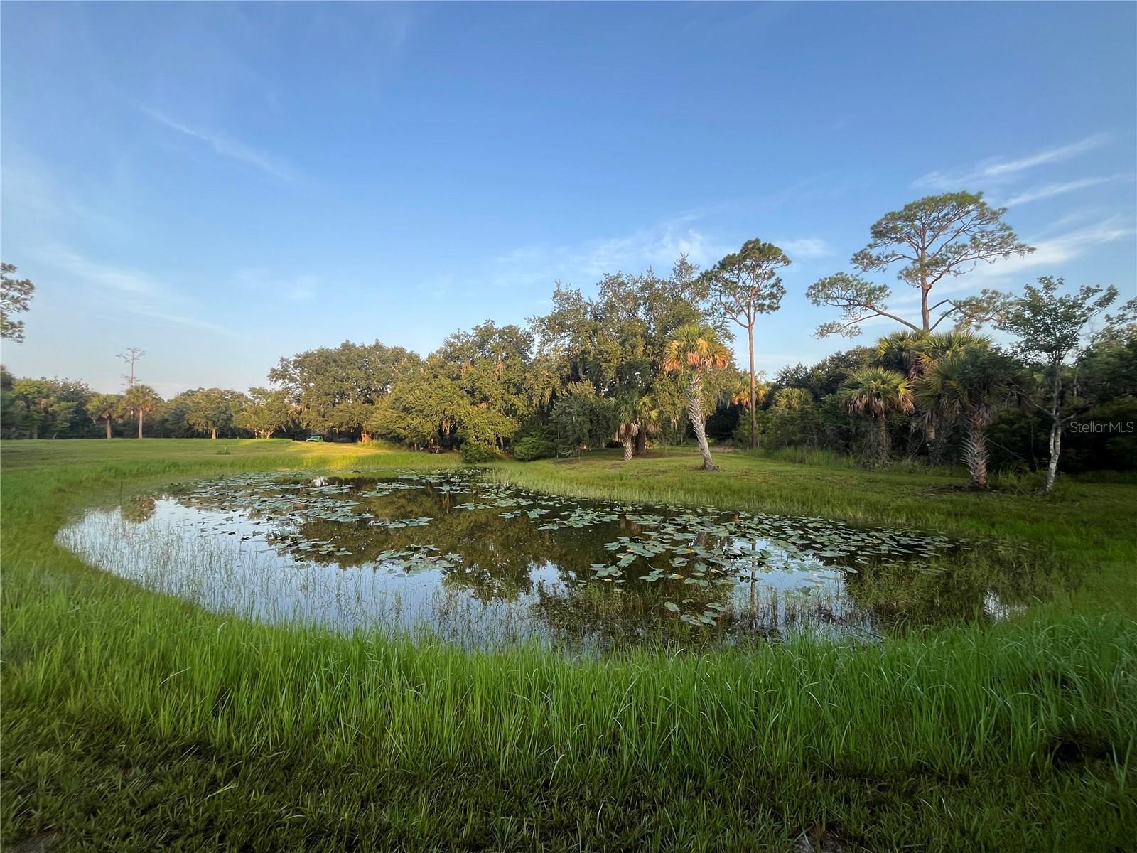 3rd image of 32801 441 Hwy N #287, Okeechobee, FL 34972 | MLS# O6429645