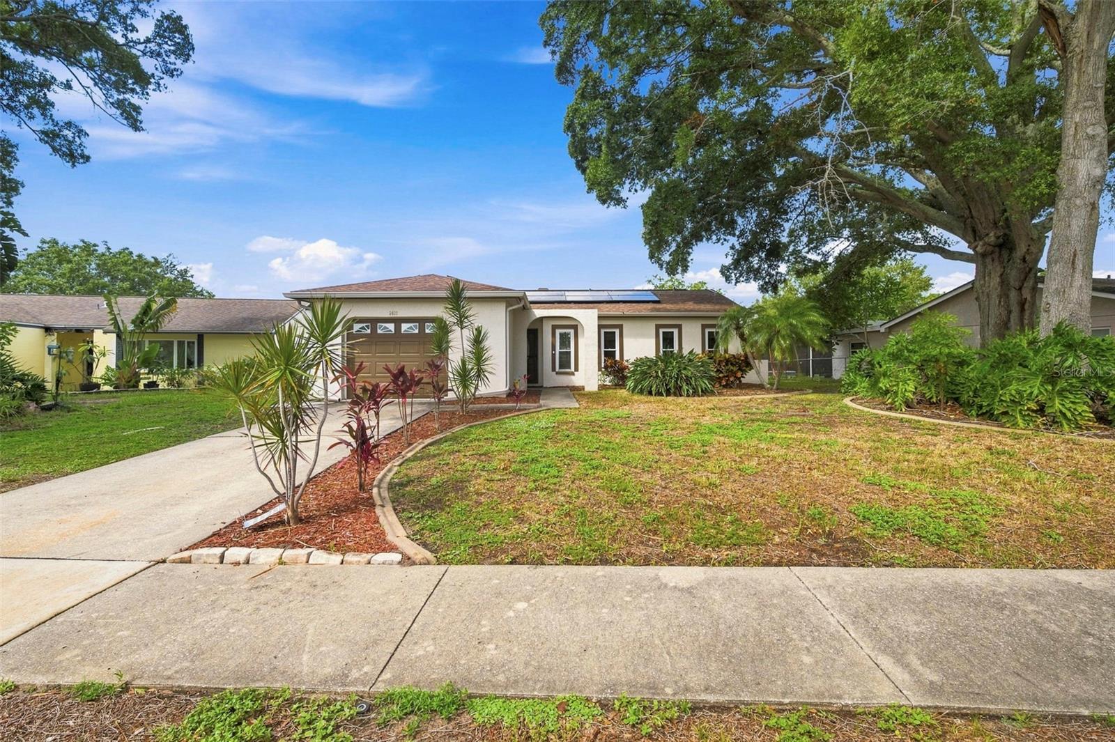 2nd image of 2460 Beacon Groves Blvd, Palm Harbor, FL 34683 | MLS# W7888142