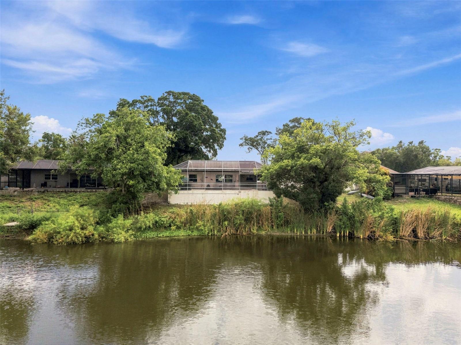 66th image of 2460 Beacon Groves Blvd, Palm Harbor, FL 34683 | MLS# W7888142