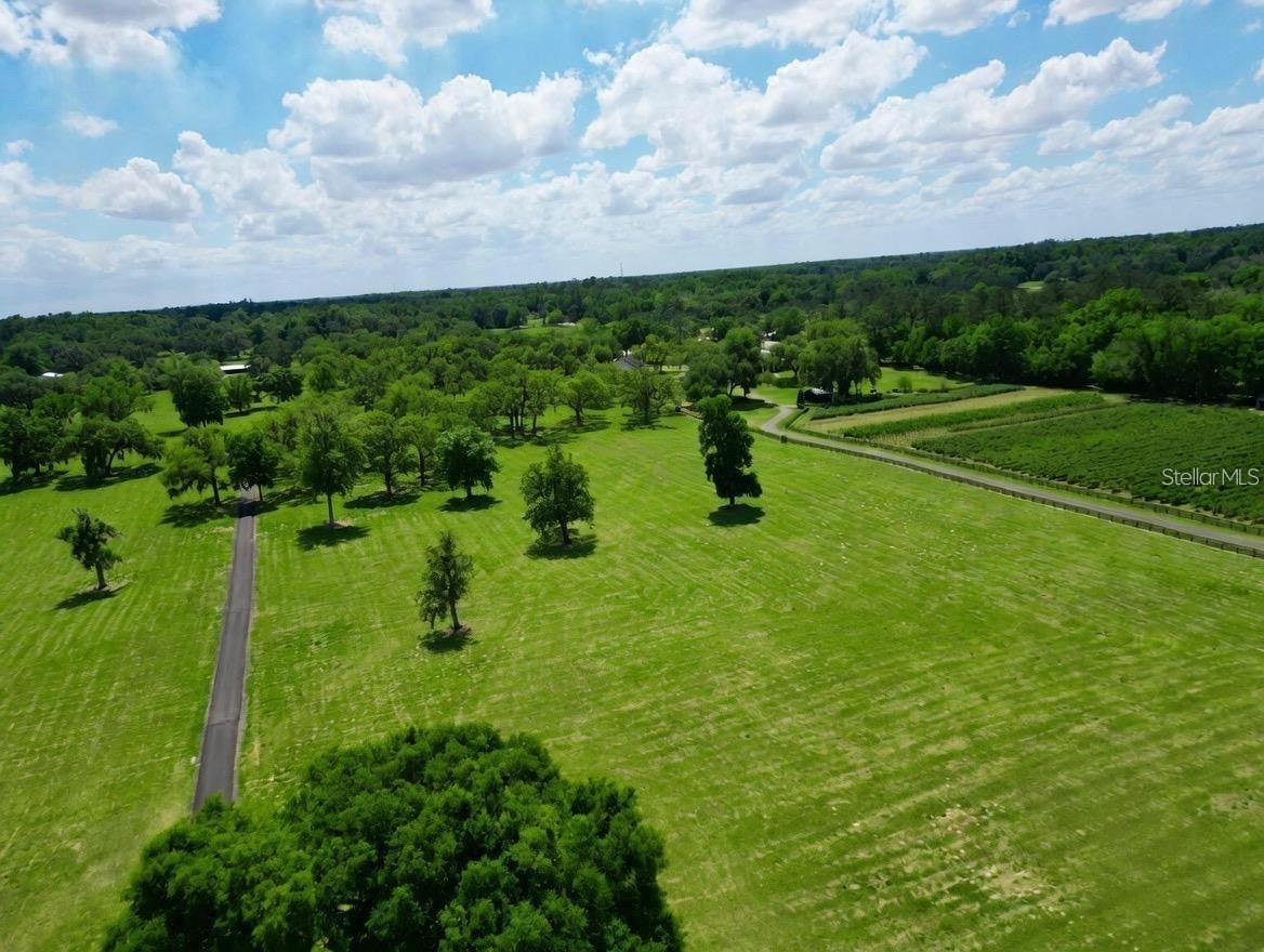 5th image of Tbd Se 115Th Street, Belleview, FL 34420 | MLS# R4911736