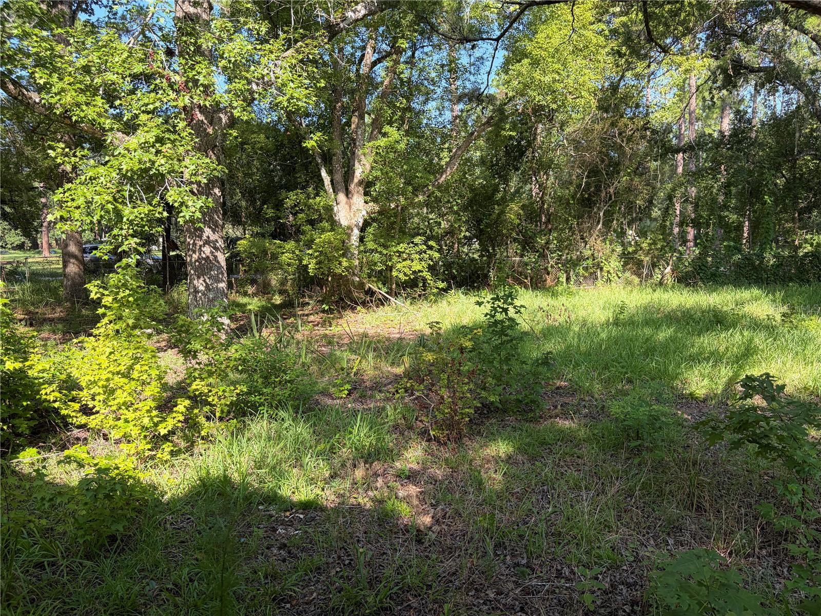 35th image of 2361 Ne 115th Ave, Silver Springs, FL 34488 | MLS# OM729595
