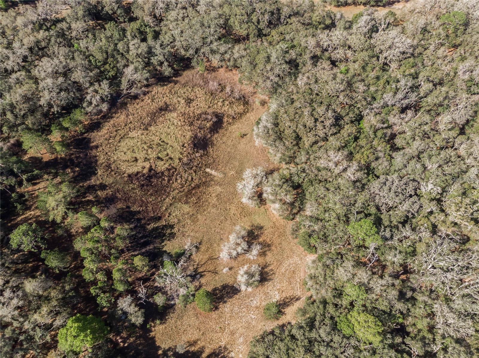 36th image of 12312 Se 112th Avenue Rd, Belleview, FL 34420 | MLS# TB8534897