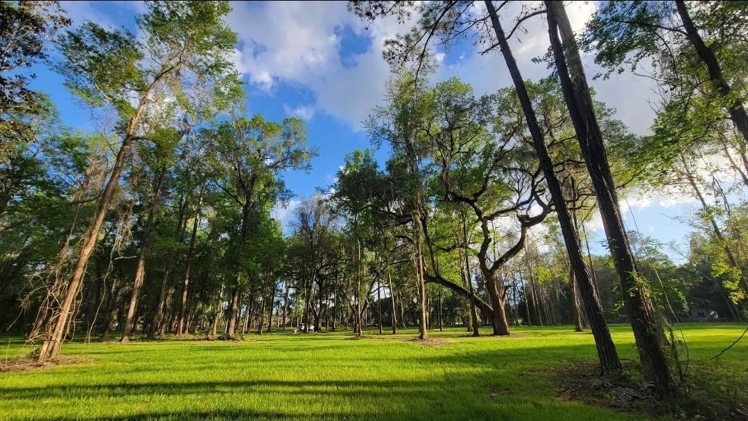 4th image of 16545 Nw 128Th Ter #Lot 37, Reddick, FL 32686 | MLS# GC542411