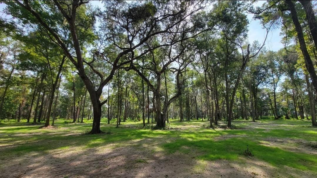 2nd image of 16545 Nw 128th Ter #Lot 36, Reddick, FL 32686 | MLS# GC542415