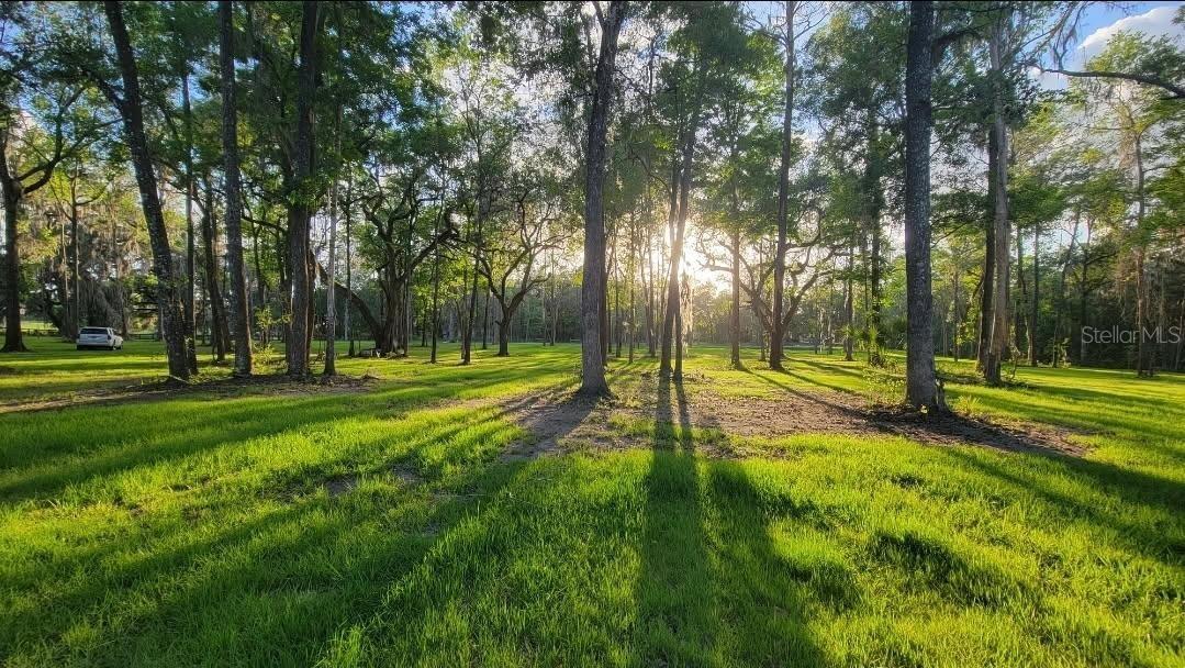1st image of 16545 Nw 128th Ter #Lot 36, Reddick, FL 32686 | MLS# GC542415